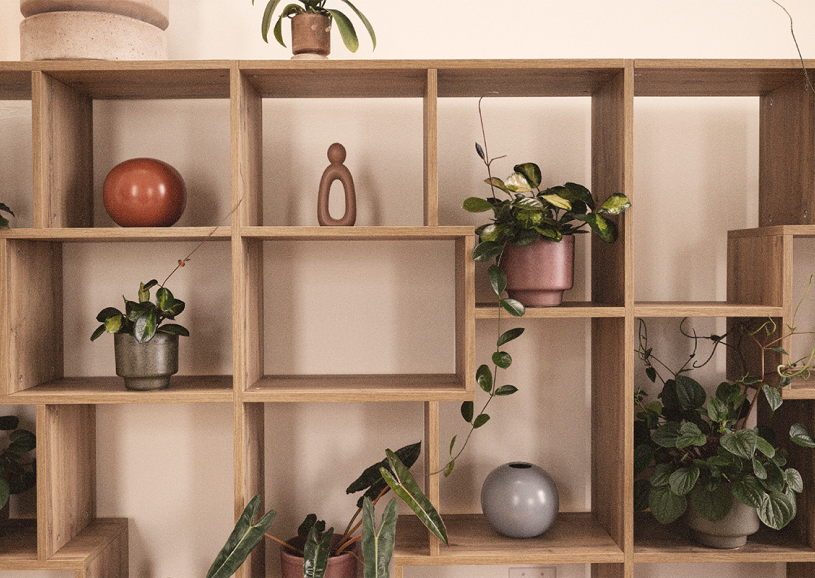 shelves