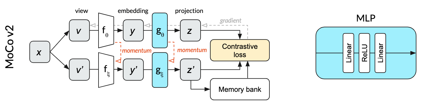 MoCo v2 architecture