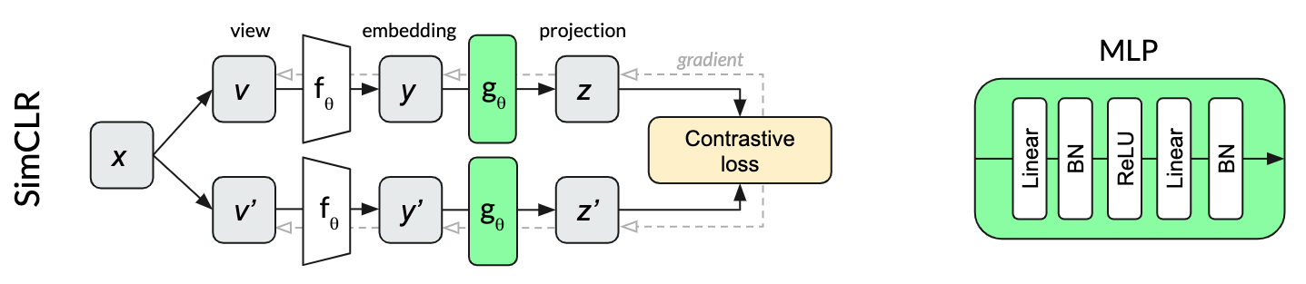 SimCLR architecture